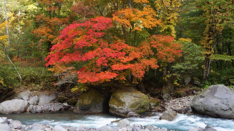 Thành phố Higashikawa Thành phố Higashikawa